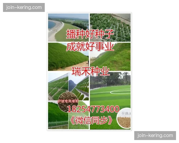 大连英博主场完成草坪系统性升级，以应对赛季后半段高频次高位对抗对草皮的破坏